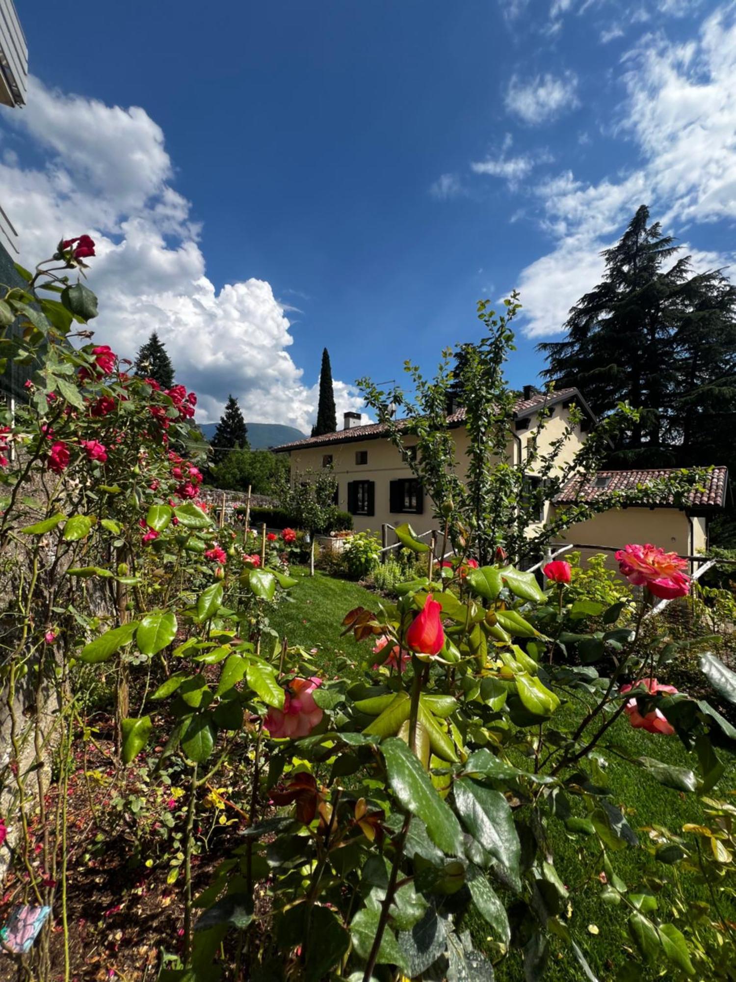 B&B Ca'Rina Rovereto  Buitenkant foto